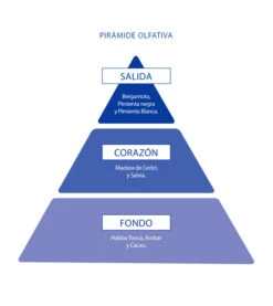 Poseidon - Pack D'Eau De Toilette Pour Homme - Poseidon Homme -Cosmétiques Chic Promos Magasin aire de sevilla pack de eau de toilette para hombre 150ml after shave 150ml gel de ducha 150 ml poseidon hombre 3 65271