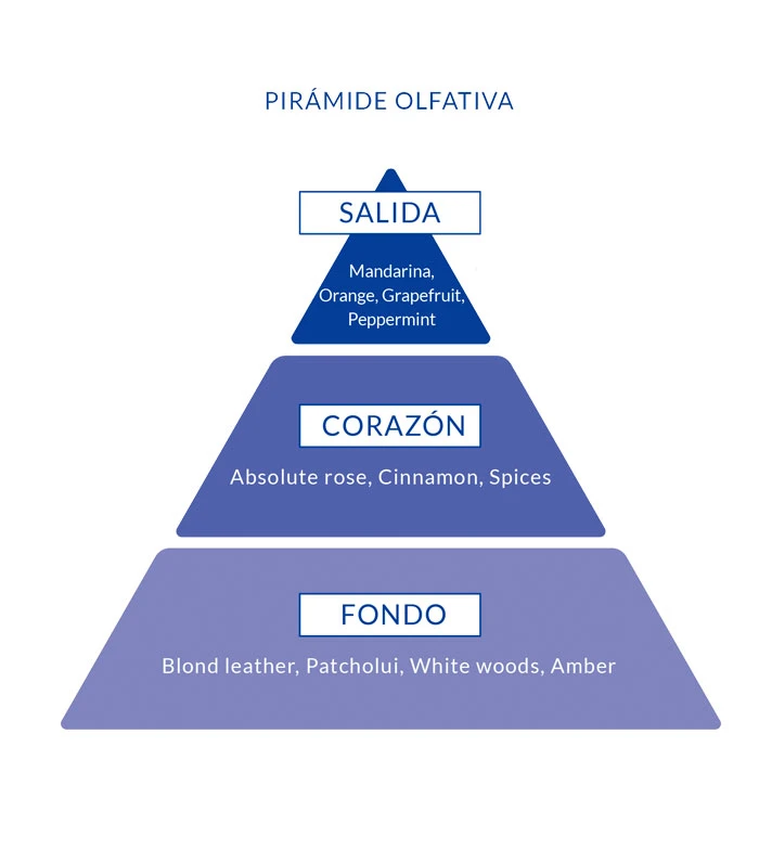 Poseidon - Pack Eau De Toilette Pour Homme - Poseidon Gold 2 Poseidon - Pack Eau De Toilette Pour Homme - Poseidon Gold – Image 2