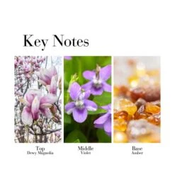 Elizabeth Arden - Eau De Parfum 5th Avenue -Cosmétiques Chic Promos Magasin elizabeth arden eau de parfum 5th avenue 4 74852