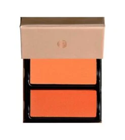 Viseart - Blush Duo - Choiysa