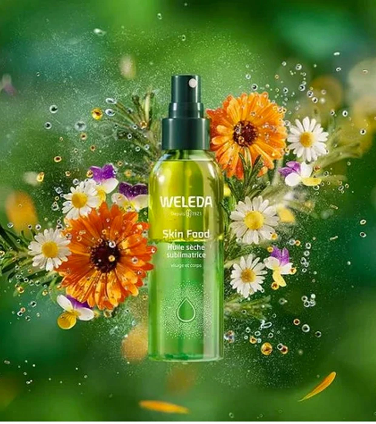 Weleda - Huile Sèche Ultra Légère Visage Et Corps Skin Food - Peau Normale Et Sèche 6 Weleda - Huile Sèche Ultra Légère Visage Et Corps Skin Food - Peau Normale Et Sèche – Image 6